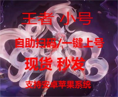 <strong>王者荣耀小号</strong>